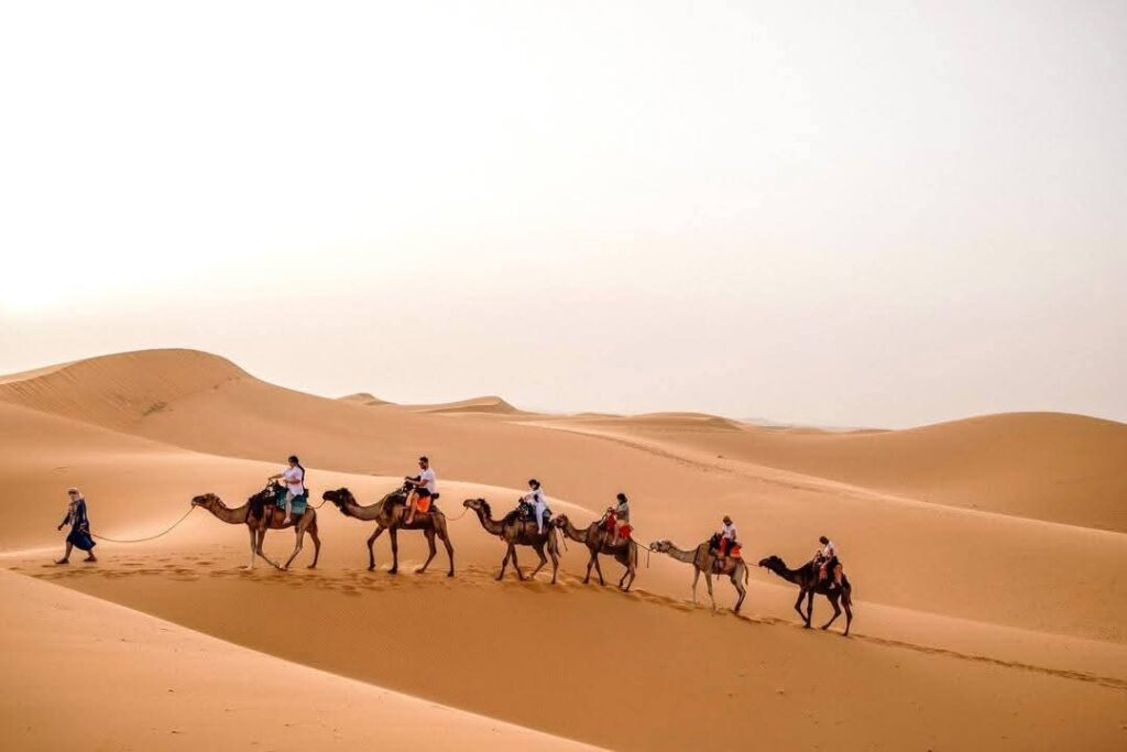 Marrakech Desert Tour Packages
