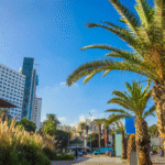 casablanca 1 (3)