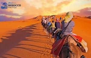 3 day tour to Merzouga desert ending in Fes