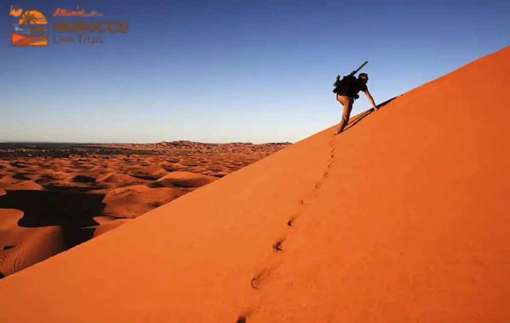 Atlas Mountains and Desert Tours