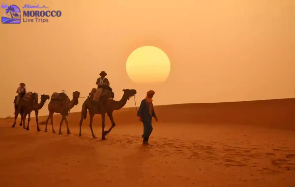 Family-Friendly & Senior Tours Morocco 2026