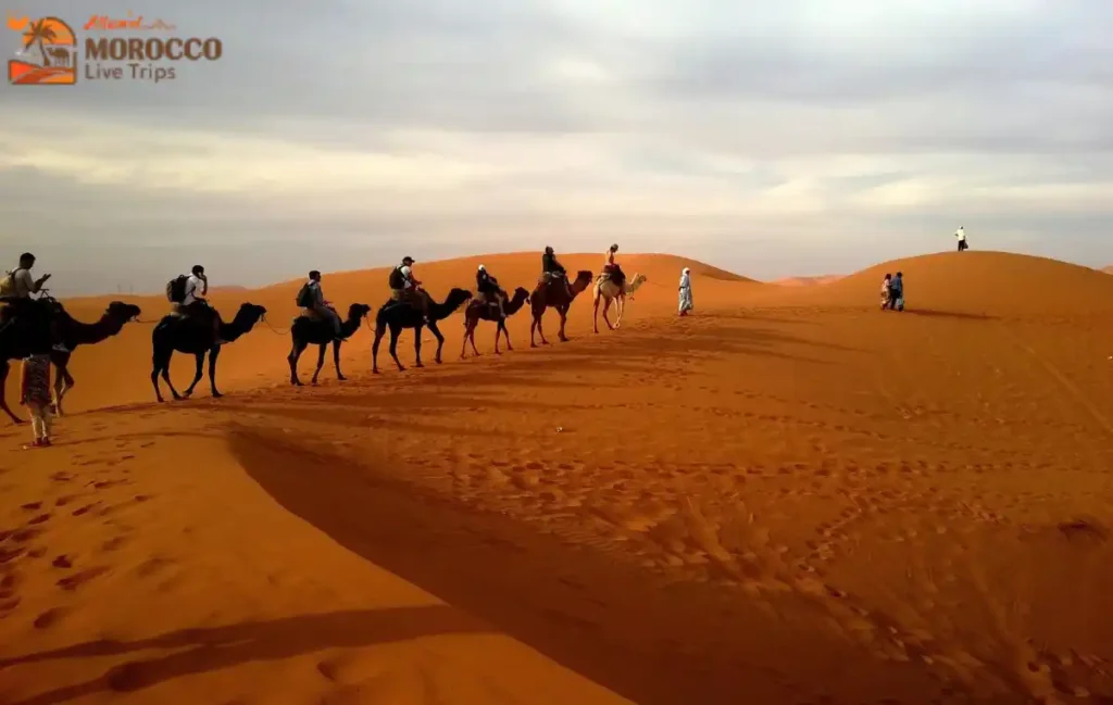 Morocco Desert Tours from Casablanca