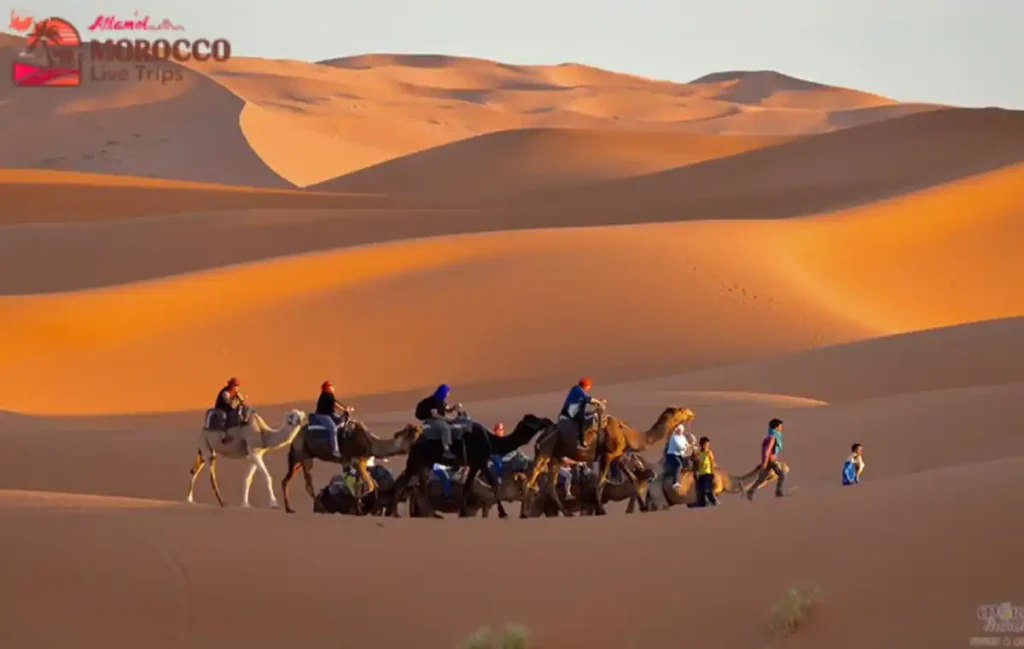 Morocco Family-Friendly Desert Tours
