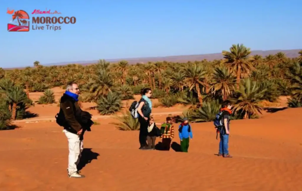 Morocco Family-Friendly Desert Tours
