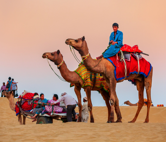 Fes to Marrakech Desert Tour