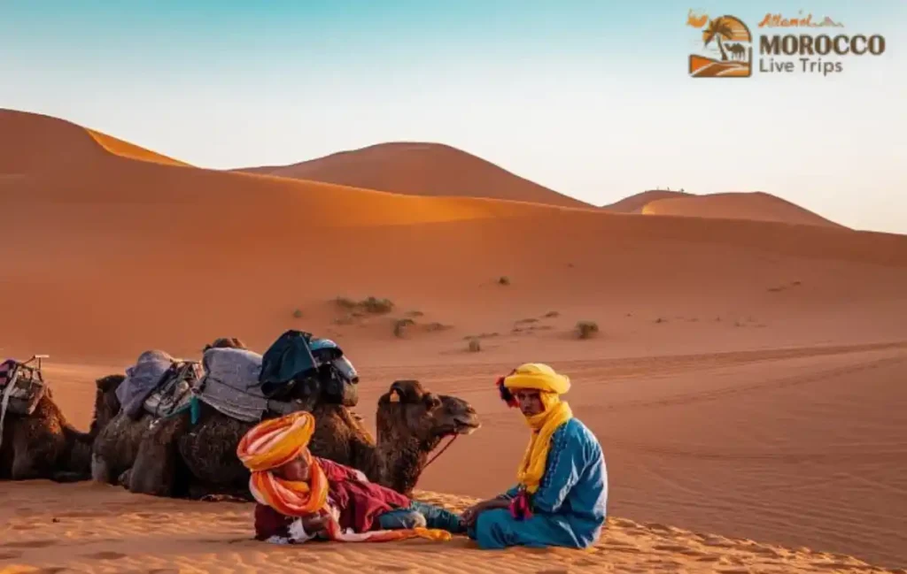 Best Time to Visit Morocco Sahara