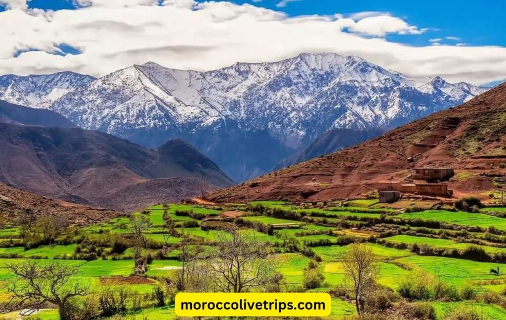 atlas mountains trip from marrakech best view 2026