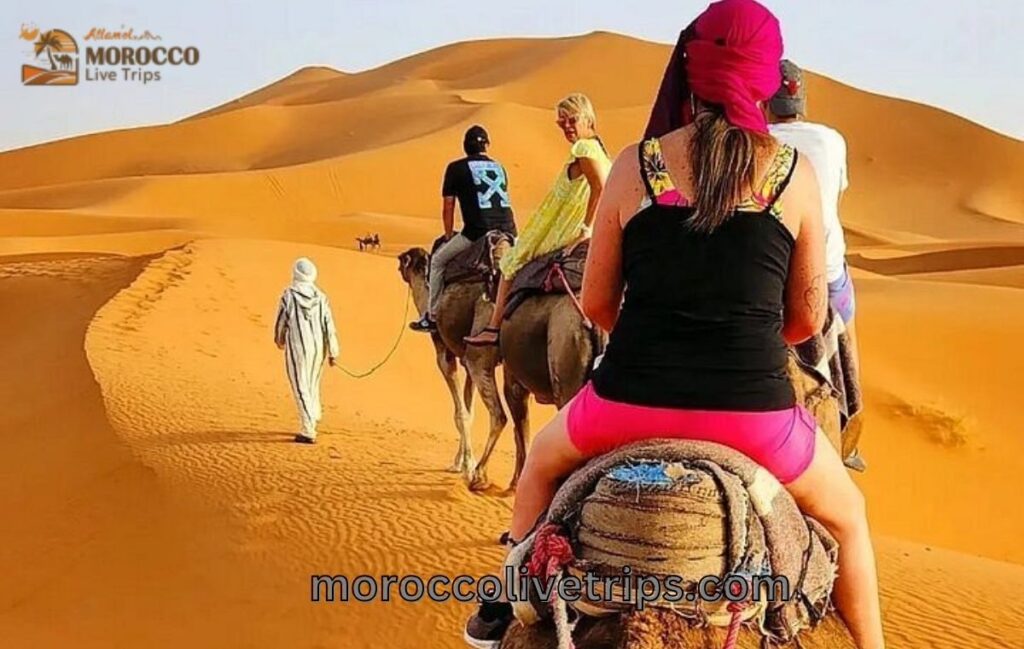 camel ride morocco tour