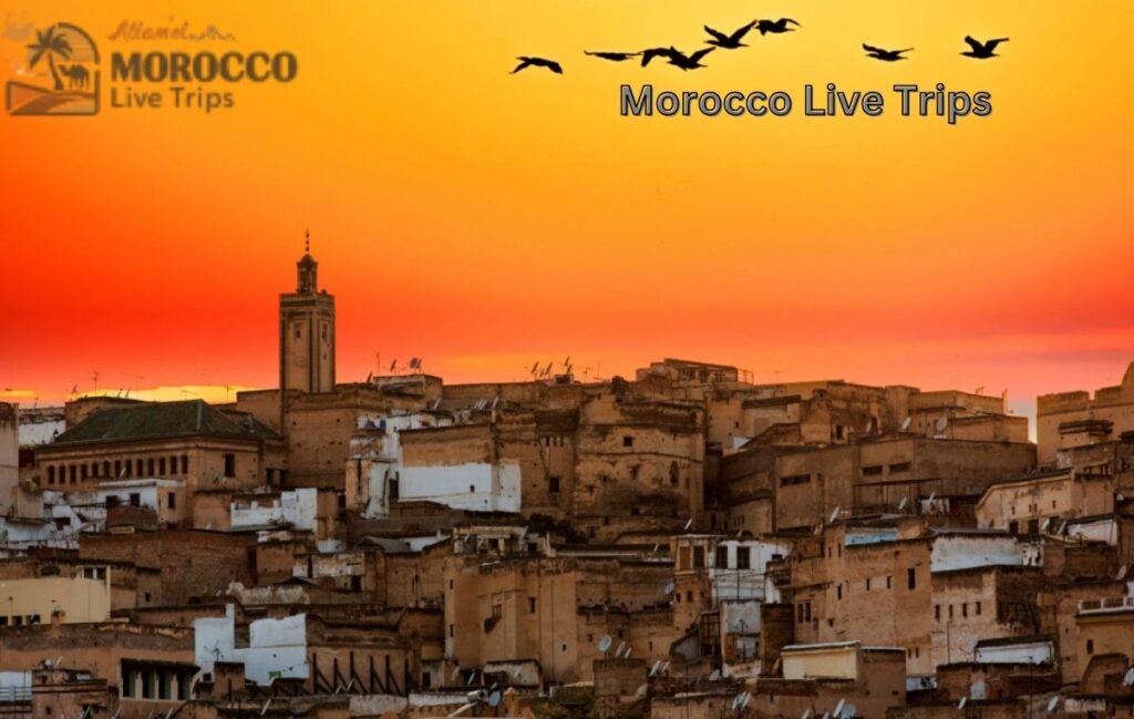 Fis in bird eye view 