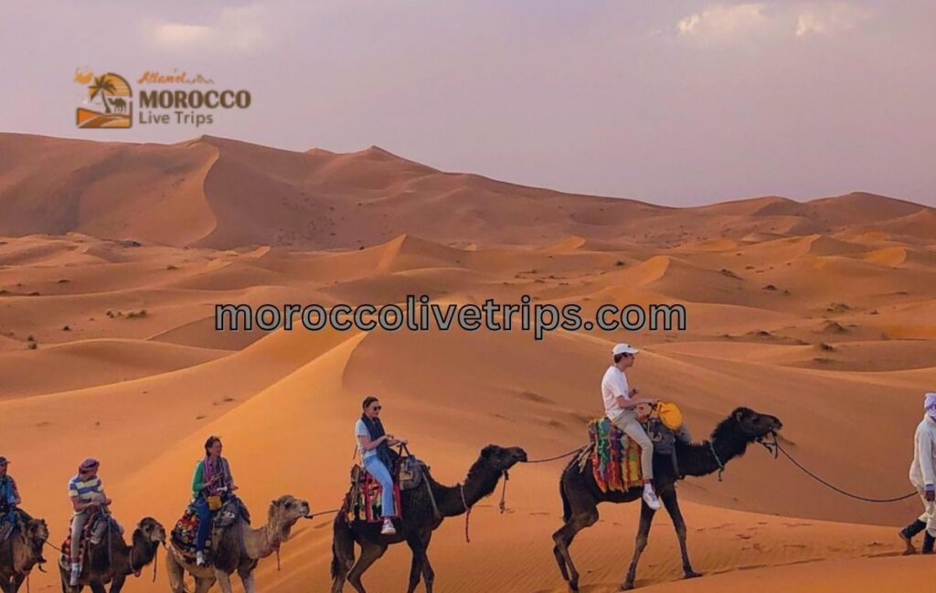 desert safari morocco camel ride & overnight in desert
