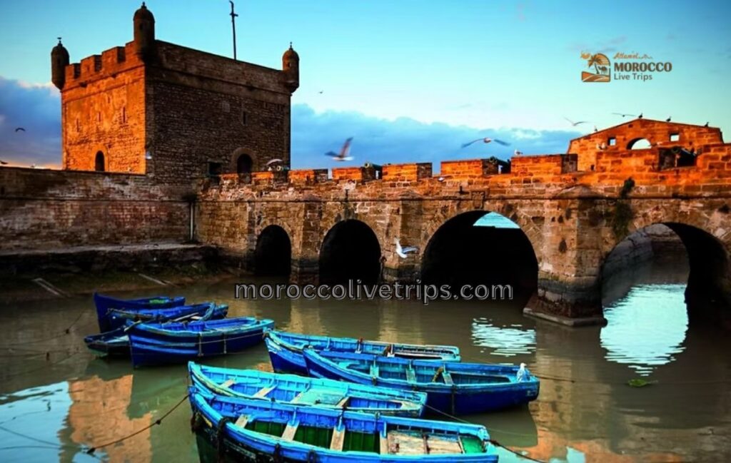 Day Trip from Marrakech to Essaouira
