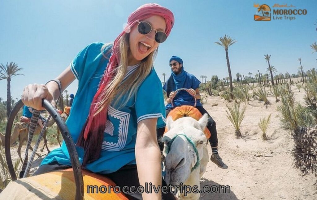 Small group Morocco tour with expert guide