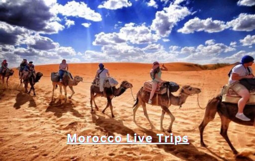 camel riding at best morocco tour with amzing view 