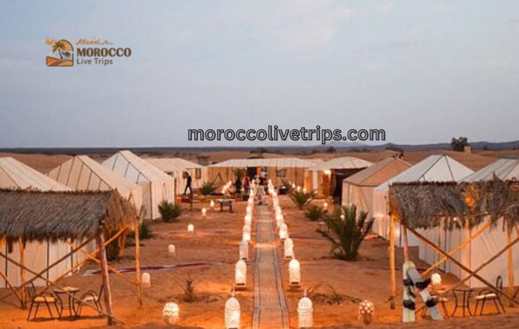 best tour companies in Morocco 2026