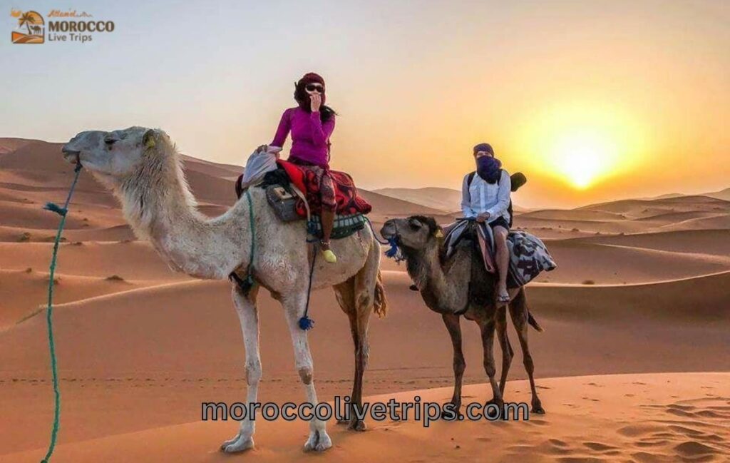 camel riding on sahara tour morocco