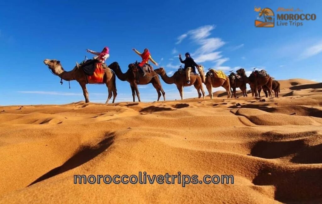 camel trekking in sahara desert morocco