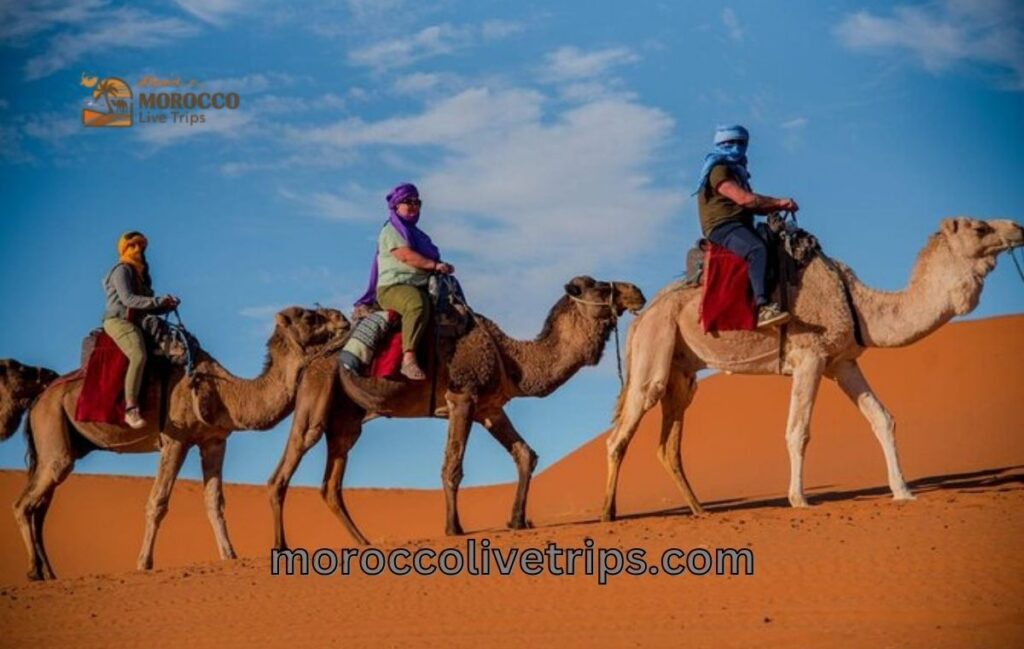 Marrakech to Fes desert tour 4 days 2026