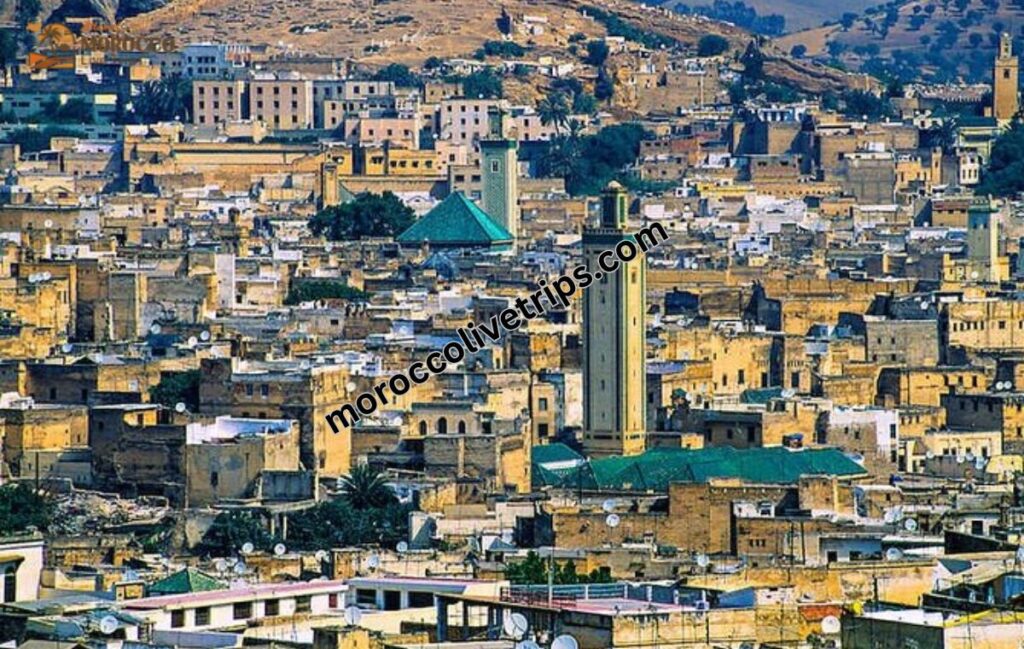 a bird eye of fes madina