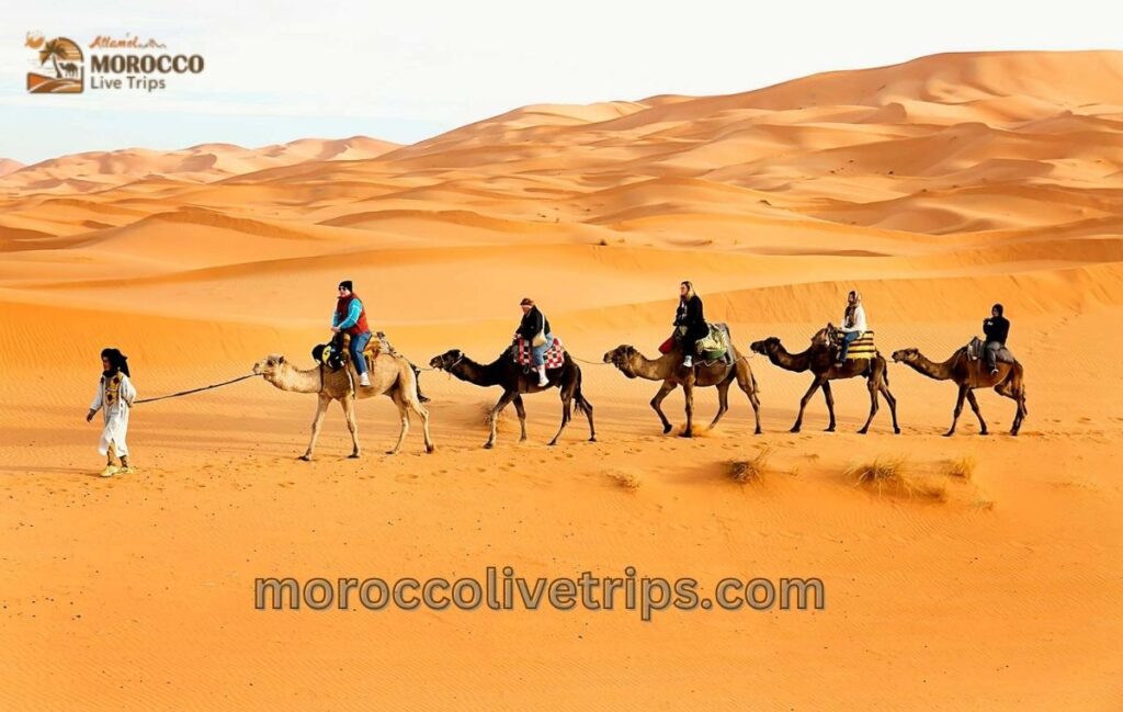 best cheap morocco tour 