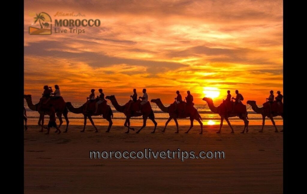 sunset camel ride across Erg Chebbi sand dunes Merzouga Morocco