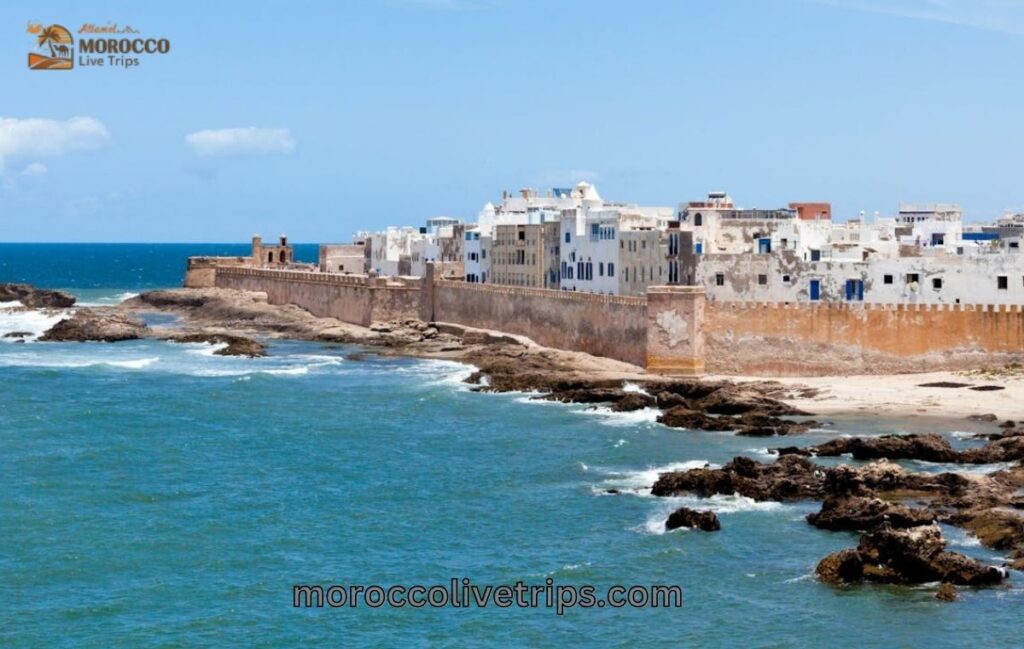 best things to do in Essaouira