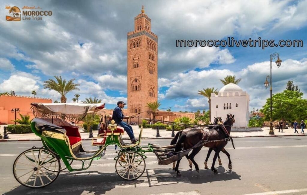 top morocco tours 2026