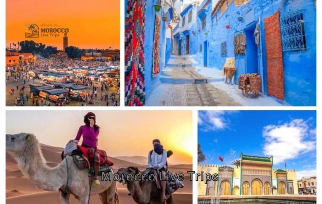 top morocco tours 2026