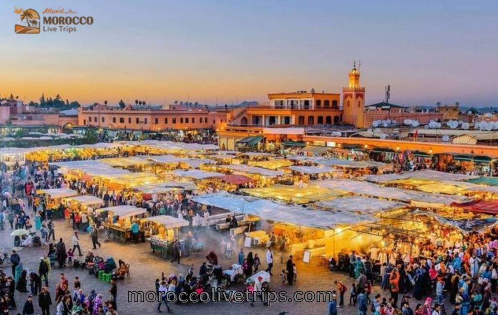 top rated Morocco tour operators worldwide travelers
