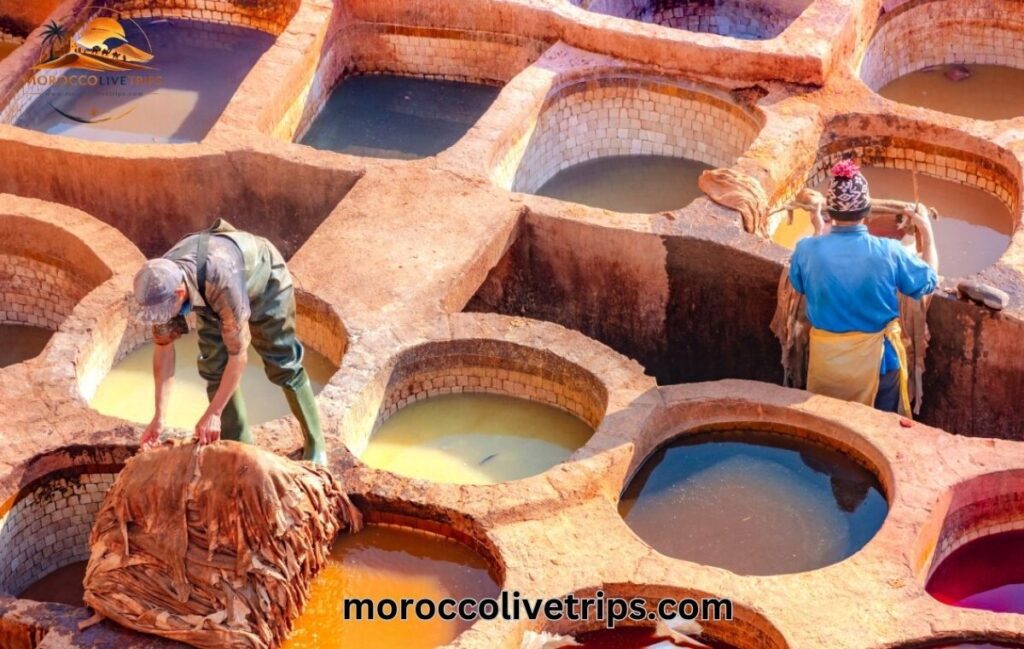 Chouara tannery Fes Morocco leather dye vats saffron red indigo - Fes medina guided tour