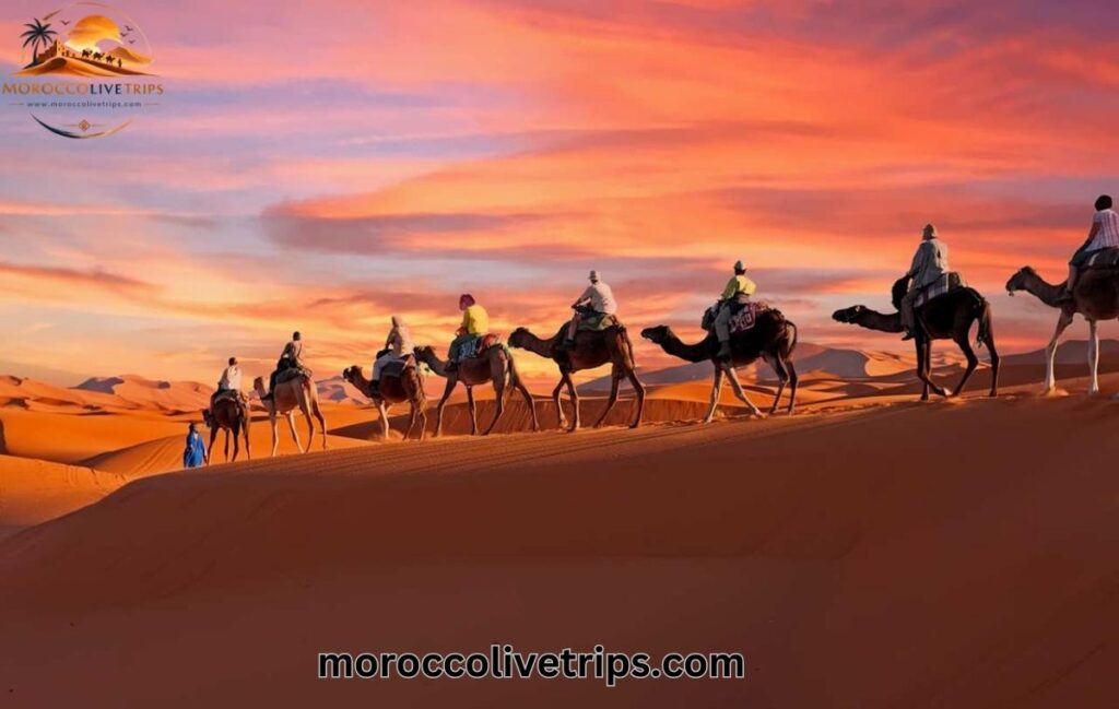 Golden Erg Chebbi sand dunes at sunrise near Merzouga Morocco rising 150 meters high - Sahara Desert camel trekking