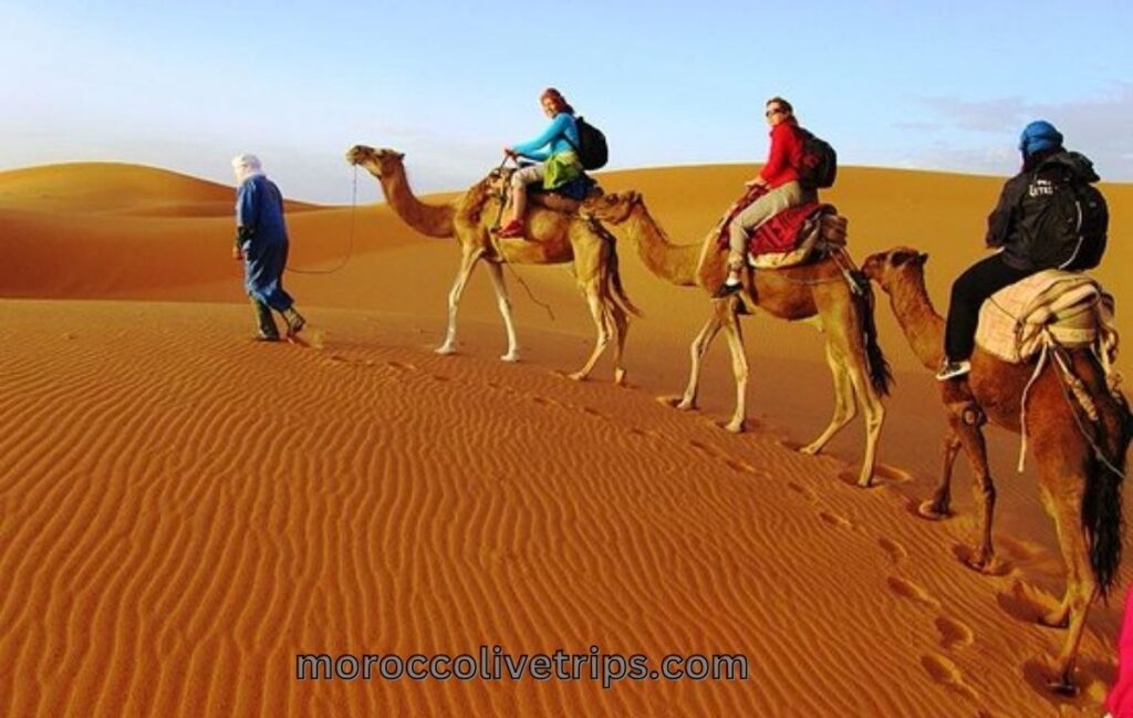 Marrakech travel agency office helping USA and UK tourists plan Morocco tours