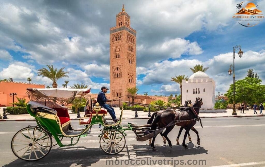 Morocco 10 day guided tour cost 2026 from 950 dollars