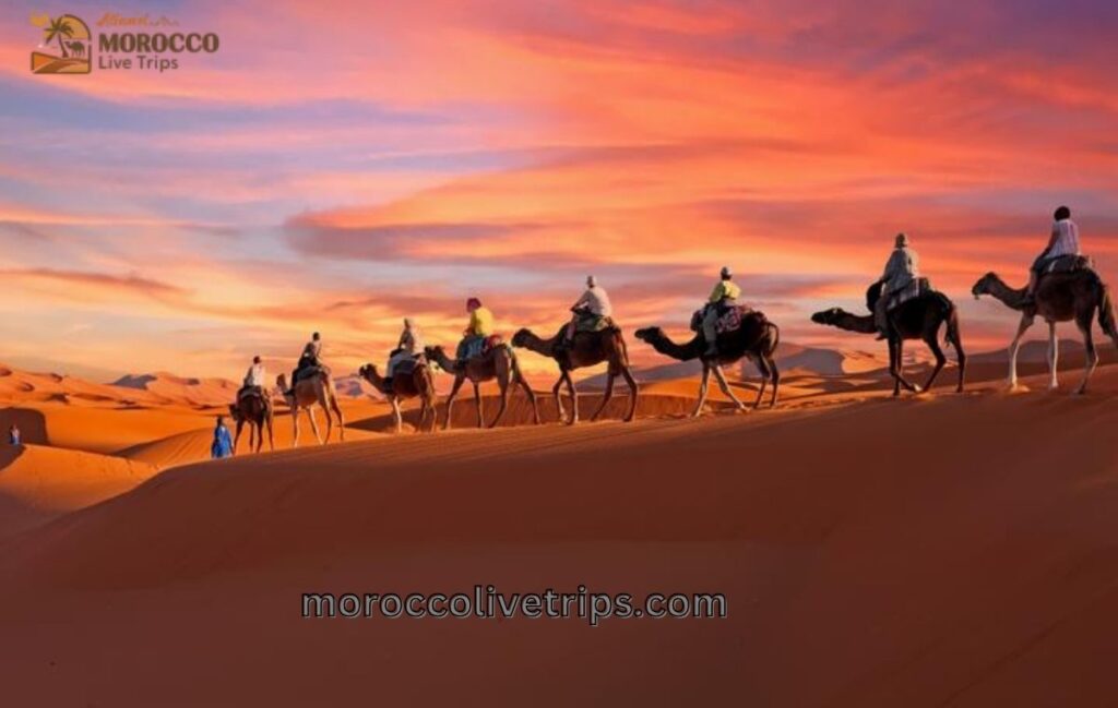 Morocco Live Trips highlights and desert tour booking
