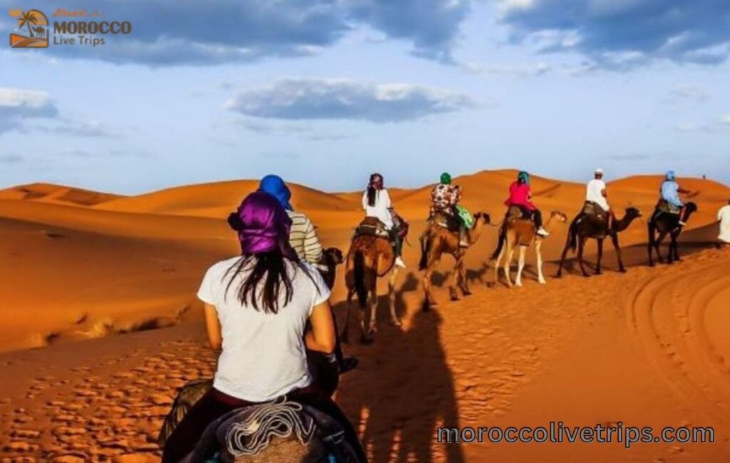 best Morocco highlights and desert tour itinerary 2026
