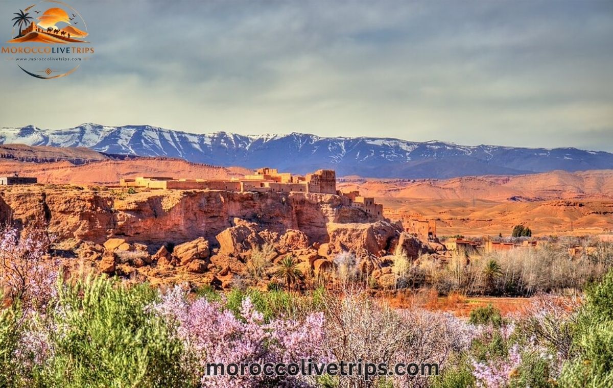 Atlas Mountains panoramic landscape Ouarzazate gateway to Sahara desert Morocco scenic drive