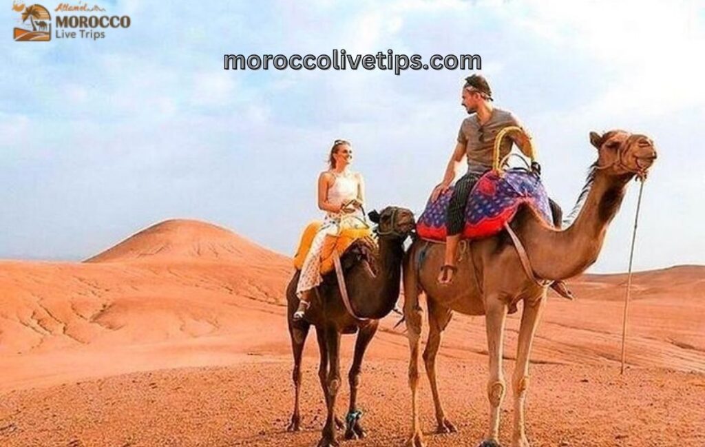 camel ride Merzouga Erg Chebbi golden sand dunes Morocco
