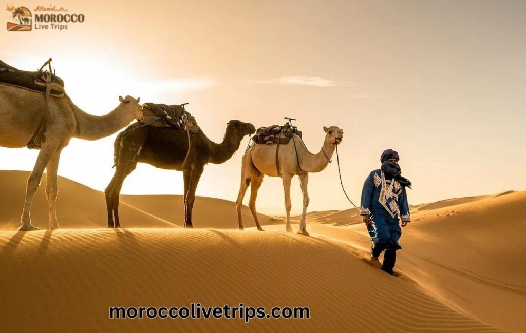 complete luxury Morocco desert tour Marrakech Fes 2026