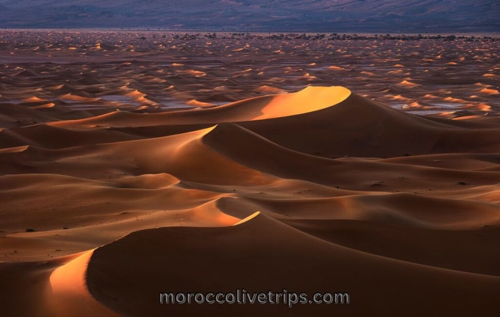 Marrakech street photography on a Morocco Photography Desert Tour