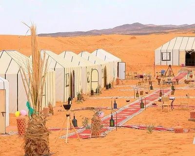 Luxury Berber desert camp with traditional tents and red carpet
pathway surrounded by Sahara sand dunes --- Morocco Live Trips 3-day
Marrakech to Merzouga Desert tour
