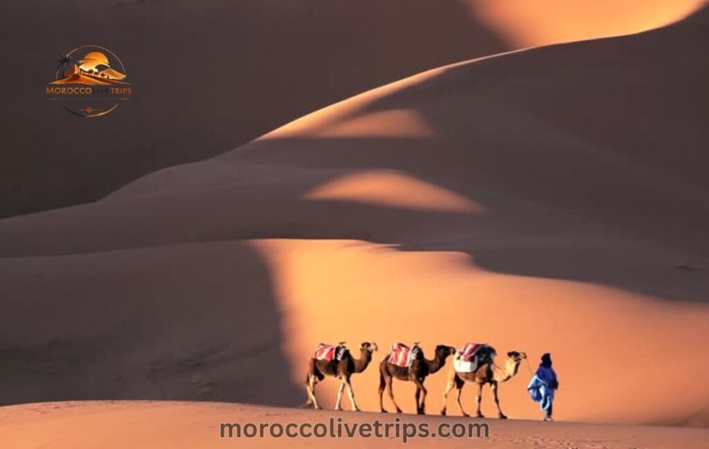 What is Morocco known for - golden Sahara Desert camel caravan at sunrise over Erg Chebbi dunes Merzouga Morocco