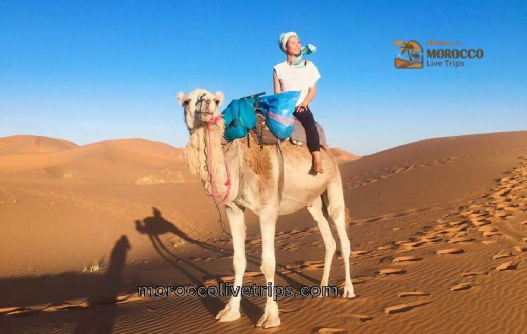 luxury Marrakech to Fes desert tour private guide 2026