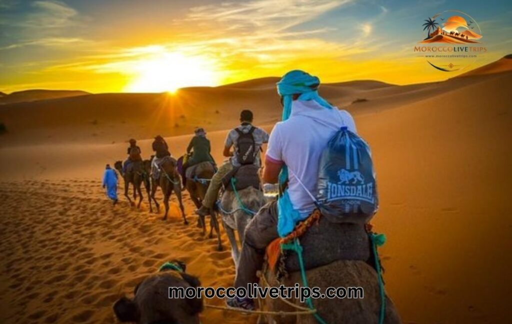 best Morocco tours seniors 2026 private comfortable trips
