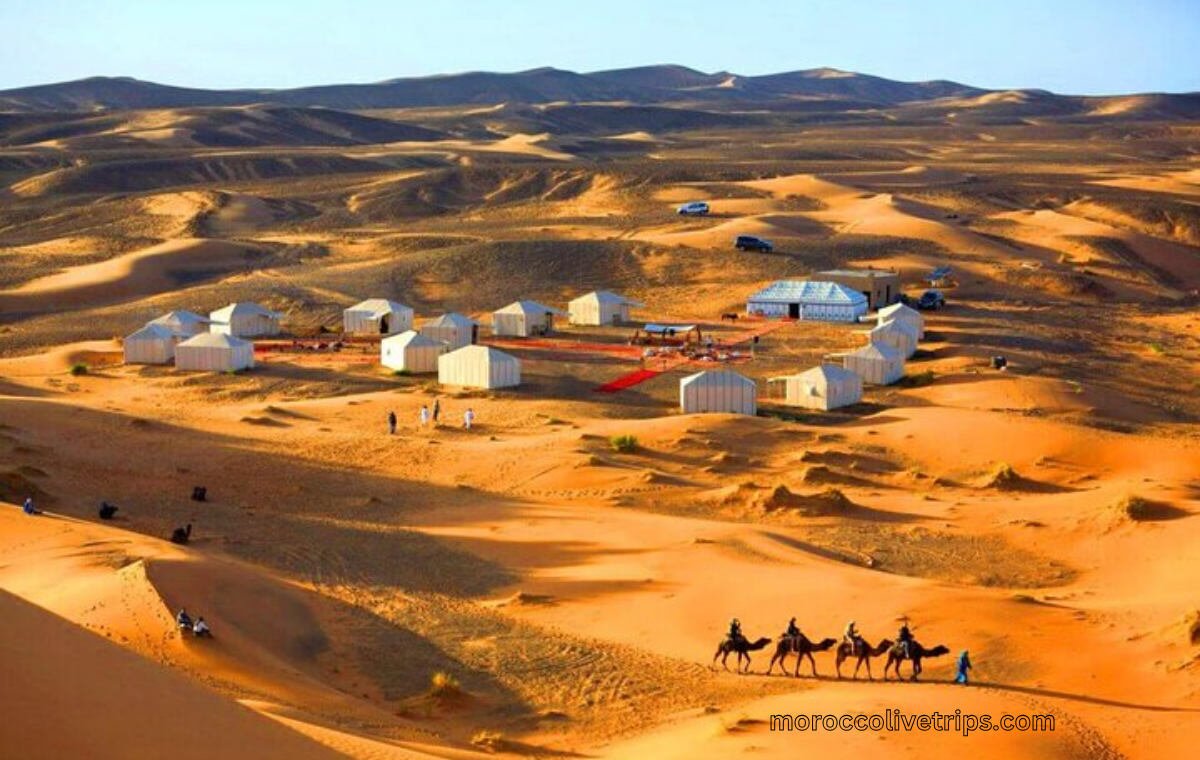 Camel trekking across Erg Chebbi dunes on a Todra Gorge and Sahara tour