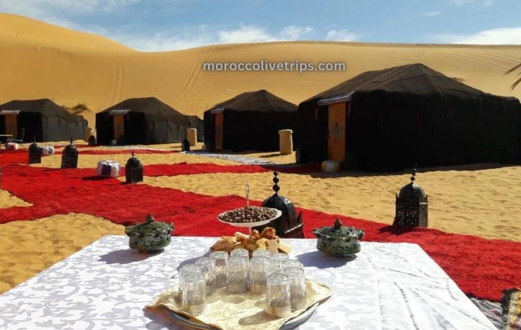 morocco desert tour from manchester sahara camel trek merzouga